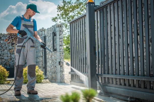 Animal Enclosure Cleaning in Egypt Lake Leto, FL